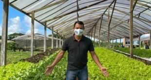 agropecuária