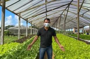 agropecuária