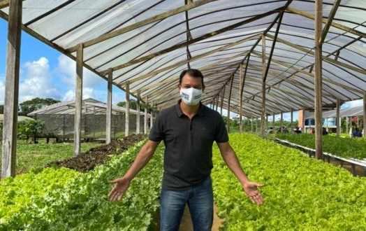 agropecuária