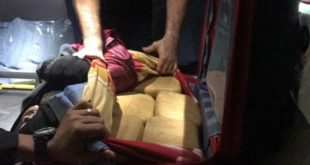 Ação integrada entre Policia Civil e Polícia Rodoviária Federal aprende drogas em ônibus que saiu de Cruzeiro do Sul