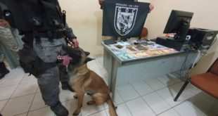 Com ajuda de cão farejador, PM apreende drogas e mais de 3 mil reais em Brasileia 