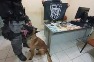 Com ajuda de cão farejador, PM apreende drogas e mais de 3 mil reais em Brasileia 