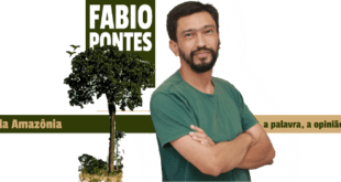 Estradas são vetores de desmatamento e grilagem na Amazônia. 