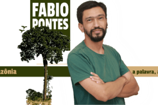 Estradas são vetores de desmatamento e grilagem na Amazônia. 