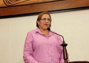 Ex-deputada Juliana Rodrigues propõe a implantação do Vale Gás Social