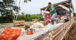Desde 2019 o Governo não paga produtores rurais que venderam produtos para a merenda escolar