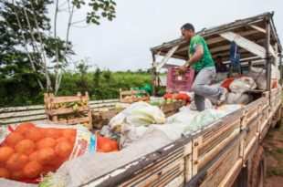 Desde 2019 o Governo não paga produtores rurais que venderam produtos para a merenda escolar
