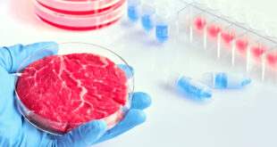 Primeira fábrica de carne cultivada em laboratório é inaugurada em Israel