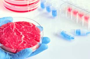 Primeira fábrica de carne cultivada em laboratório é inaugurada em Israel