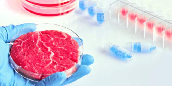 Primeira fábrica de carne cultivada em laboratório é inaugurada em Israel