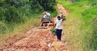 Ramal de Cruzeiro do Sul
