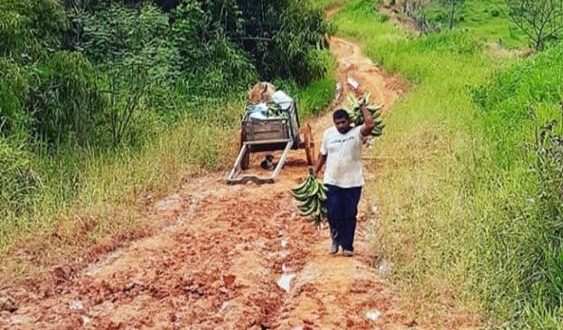 Ramal de Cruzeiro do Sul