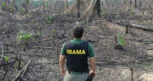 Servidores do Ibama/ICMBio protestam contra o desmonte dos órgãos de controle ambiental