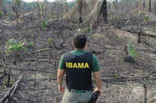 Servidores do Ibama/ICMBio protestam contra o desmonte dos órgãos de controle ambiental