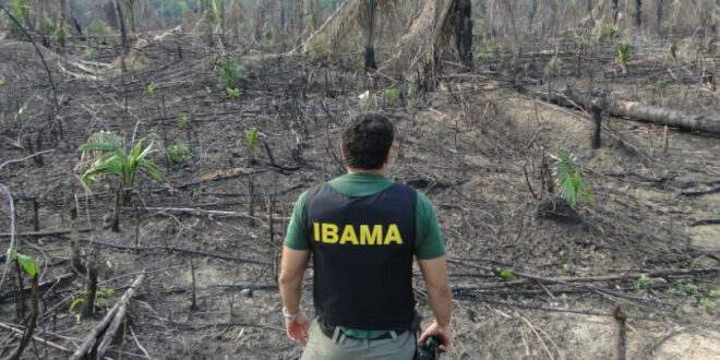 Servidores do Ibama/ICMBio protestam contra o desmonte dos órgãos de controle ambiental