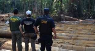 Servidores do ICMBio denunciam que instrução normativa paralisou a fiscalização ambiental