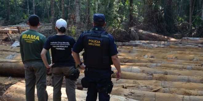Servidores do ICMBio denunciam que instrução normativa paralisou a fiscalização ambiental