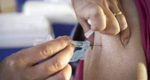 Câmara priorizou recuperação econômica e combate à pandemia no primeiro semestre