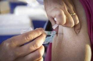 Câmara priorizou recuperação econômica e combate à pandemia no primeiro semestre