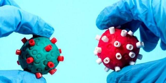 Caso inédito de infecção simultânea por duas variantes do coronavírus surpreende médicos