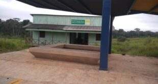 geringonça