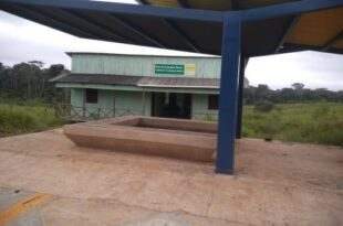 geringonça