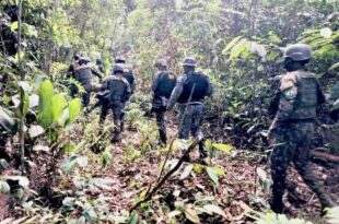 Mourão destaca 3 mil militares para combater o desmatamento na Amazônia