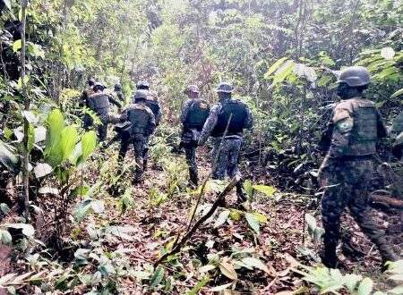 Mourão destaca 3 mil militares para combater o desmatamento na Amazônia