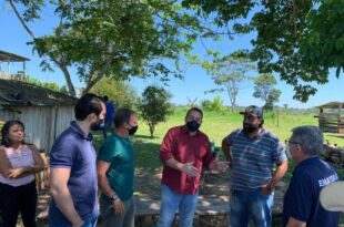 Produtores de Jordão estão sem poder comercializar a produção por falta de DAPs