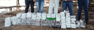 Mais de 100 quilos de cocaína são incinerados no interior do Acre