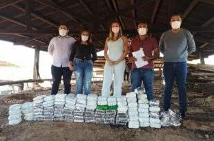 Em Tarauacá, Polícia Civil incinera mais de 100 quilos de drogas apreendidas