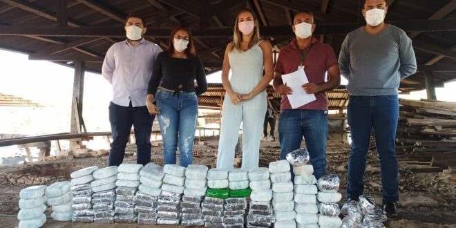 Em Tarauacá, Polícia Civil incinera mais de 100 quilos de drogas apreendidas