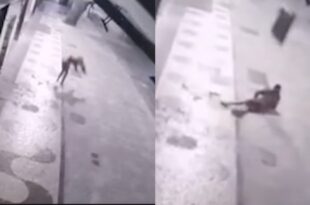 Atrapalhado- ladrão  cai de 2º andar de prédio onde foi roubar e é atingido por Tv que furtou