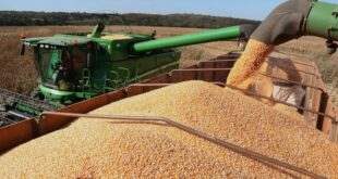 Comissão debate proposta que substitui fiscalização por autocontrole no setor agropecuário