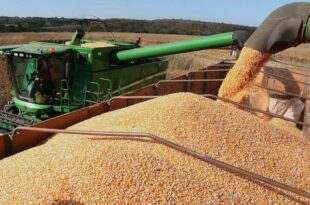 Comissão debate proposta que substitui fiscalização por autocontrole no setor agropecuário