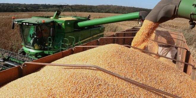 Comissão debate proposta que substitui fiscalização por autocontrole no setor agropecuário