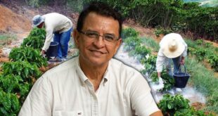 Deputado Gonzaga pede que governo compre calcário para atender produtores rurais