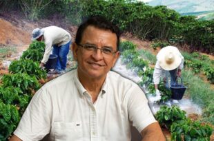 Deputado Gonzaga pede que governo compre calcário para atender produtores rurais