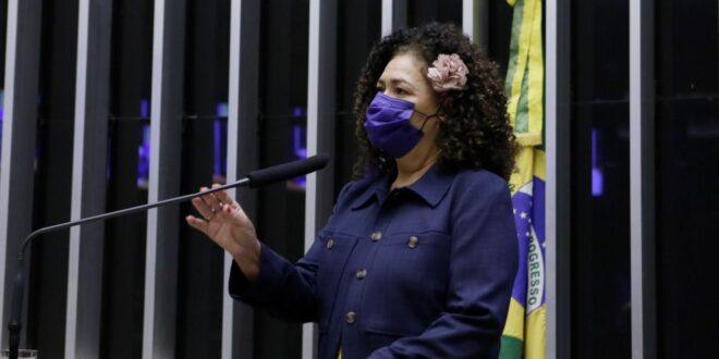 Perpétua vota contra PL que impede reajuste do piso salarial dos professoresDesanexar