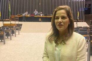 Projeto de autoria de Mara Rocha que cria a política nacional de incentivo à apicultura e meliponicultura é aprovado na Comissão de Agricultura