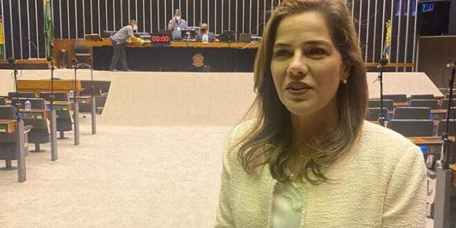 Projeto de autoria de Mara Rocha que cria a política nacional de incentivo à apicultura e meliponicultura é aprovado na Comissão de Agricultura