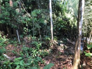 Madrasta e tia são suspeitas de entregar adolescente de 14 anos para ser torturado e morto por facção