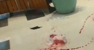 ‘Foi uma cena de terror’, diz cliente sobre assalto com tiroteio em shopping no Recife