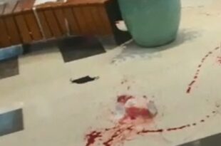 ‘Foi uma cena de terror’, diz cliente sobre assalto com tiroteio em shopping no Recife