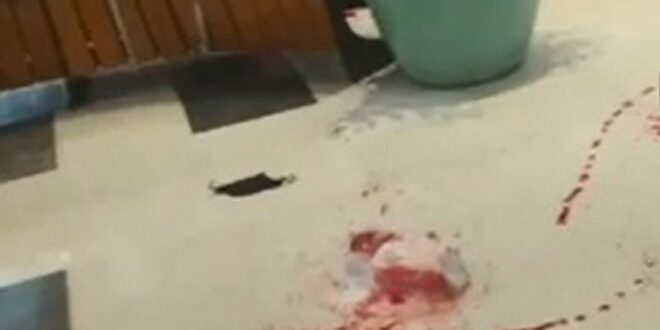 ‘Foi uma cena de terror’, diz cliente sobre assalto com tiroteio em shopping no Recife