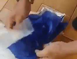 Pós-graduado em Biologia é preso por tráfico de drogas, com haxixe recebido via Correios