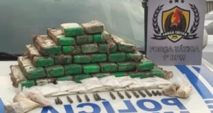 Com ajuda de cães farejadores, PM apreende 24 kg de drogas e munições no Preventório