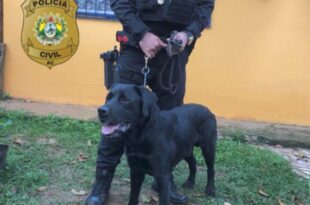 Polícia cumpre 13 mandados de busca e prende três pessoas em operação, no Calafate