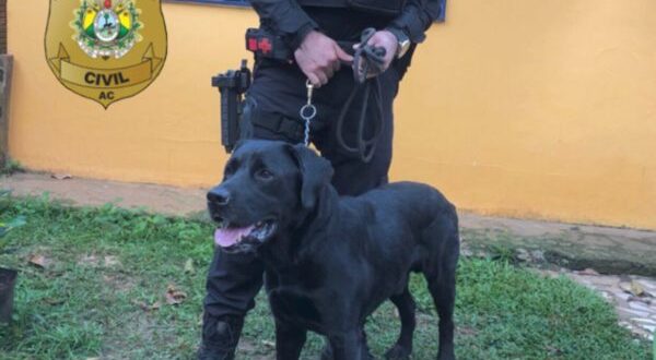 Polícia cumpre 13 mandados de busca e prende três pessoas em operação, no Calafate