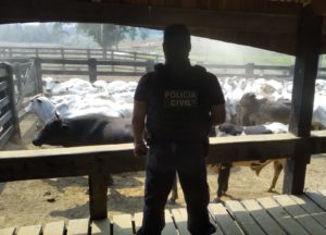 Crimes de roubo de gado são investigados na fronteira do Acre com a Bolívia